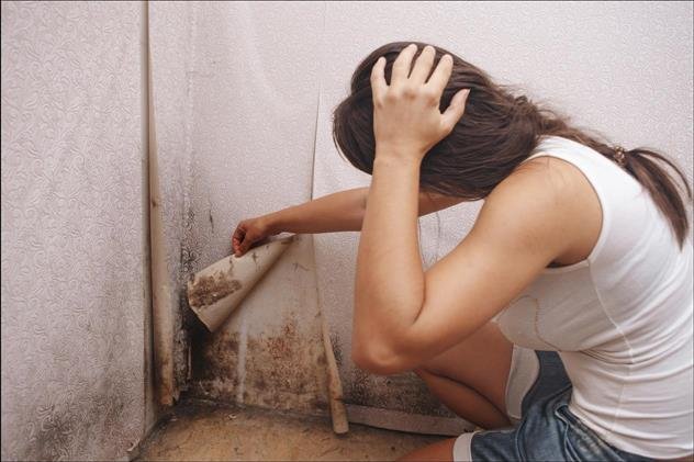 Housing Disrepair Issue